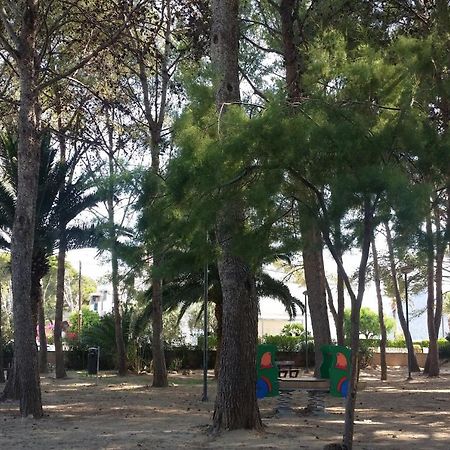 Apartment Sirella 1 Pollença Dış mekan fotoğraf